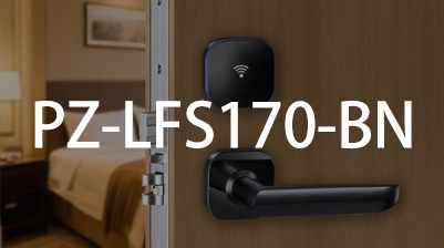 ����  PZ-LFS170-BN