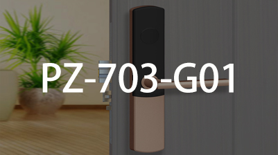 ����  PZ-703-G01