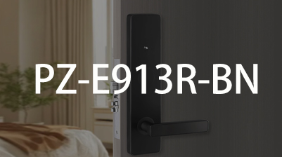 ����  PZ-E913R-BN