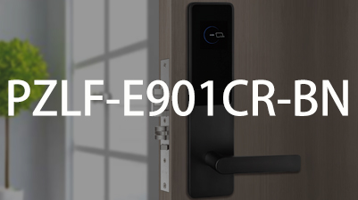 ����  PZLF-E901CR-BN