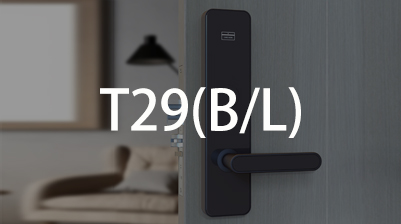 ����  T29(B/L)