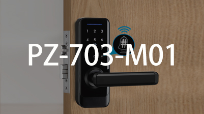 ����  PZ-703-M01