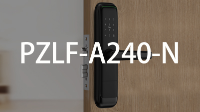 ����  PZLF-A240-N